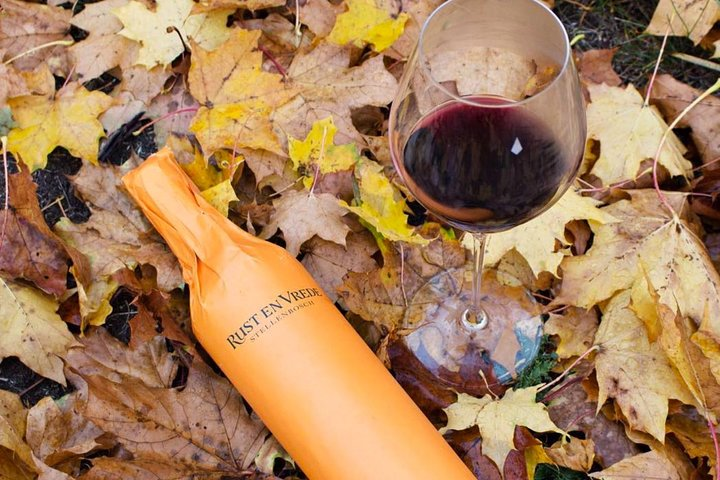 Rust en Vrede tasting in Stellenbosch Winelands